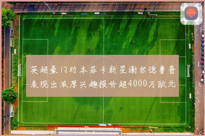 英超豪门对本菲卡新星谢尔德鲁普表现出浓厚兴趣报价超4000万欧元可行